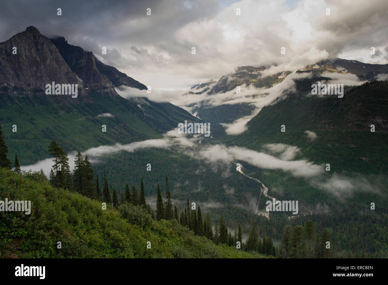 LOW CLOUDS HANGING IN VALLEY AND MOUNTAINS-FROM GOING-TO-THE-SUN ROAD Stock Photo