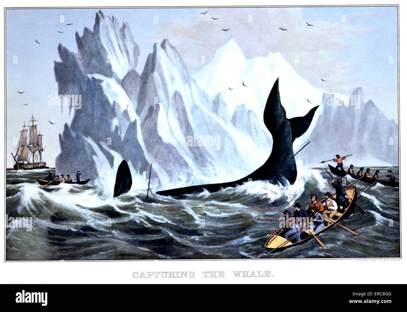 1850s CAPTURING THE WHALE - CURRIER & IVES LITHOGRAPH - 1850 Stock Photo