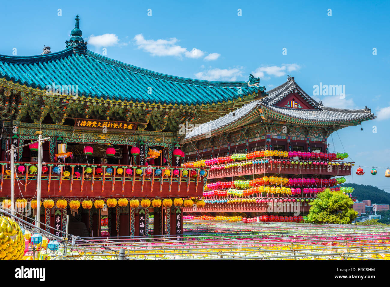 Samgwangsa, Busan is the largest Yeun Deung Hoe Lotus lantern festival in South Korea. Big temples and many lanterns Stock Photo
