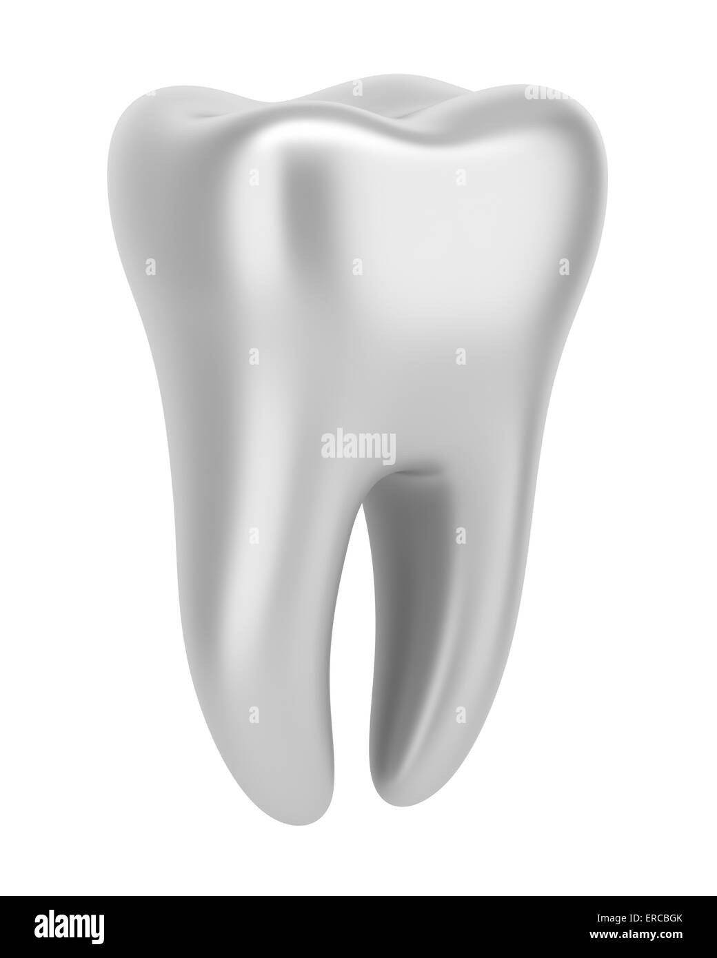 Зд зуб. Зуб на белом фоне. Белые зубы. Зуб 3d модель. Два зубы на белом фоне.