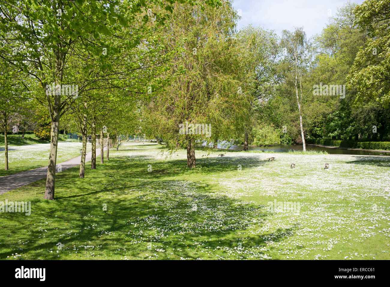 Rowntree park york hi-res stock photography and images - Alamy