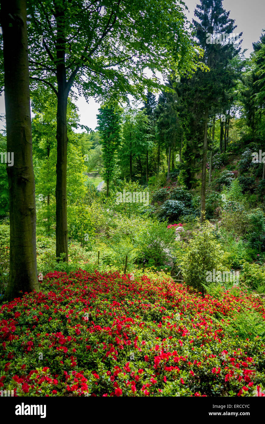 The Himalayan Garden and Sculpture Park Stock Photo Alamy