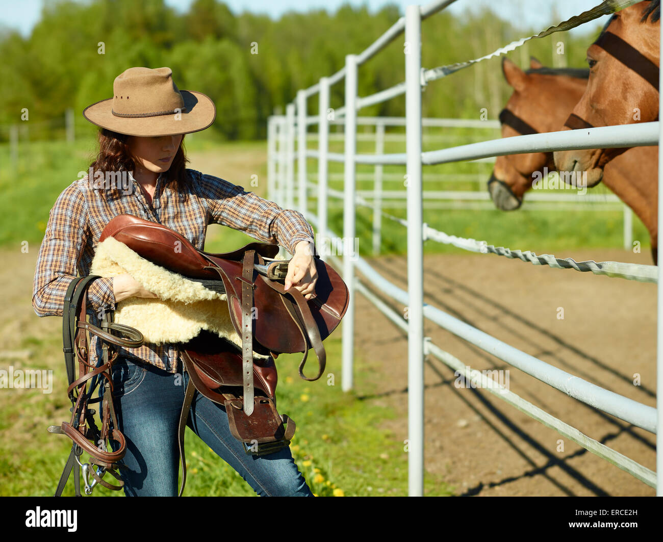 Cowgirl carrying a saddle, horse in a paddock Stock Photo