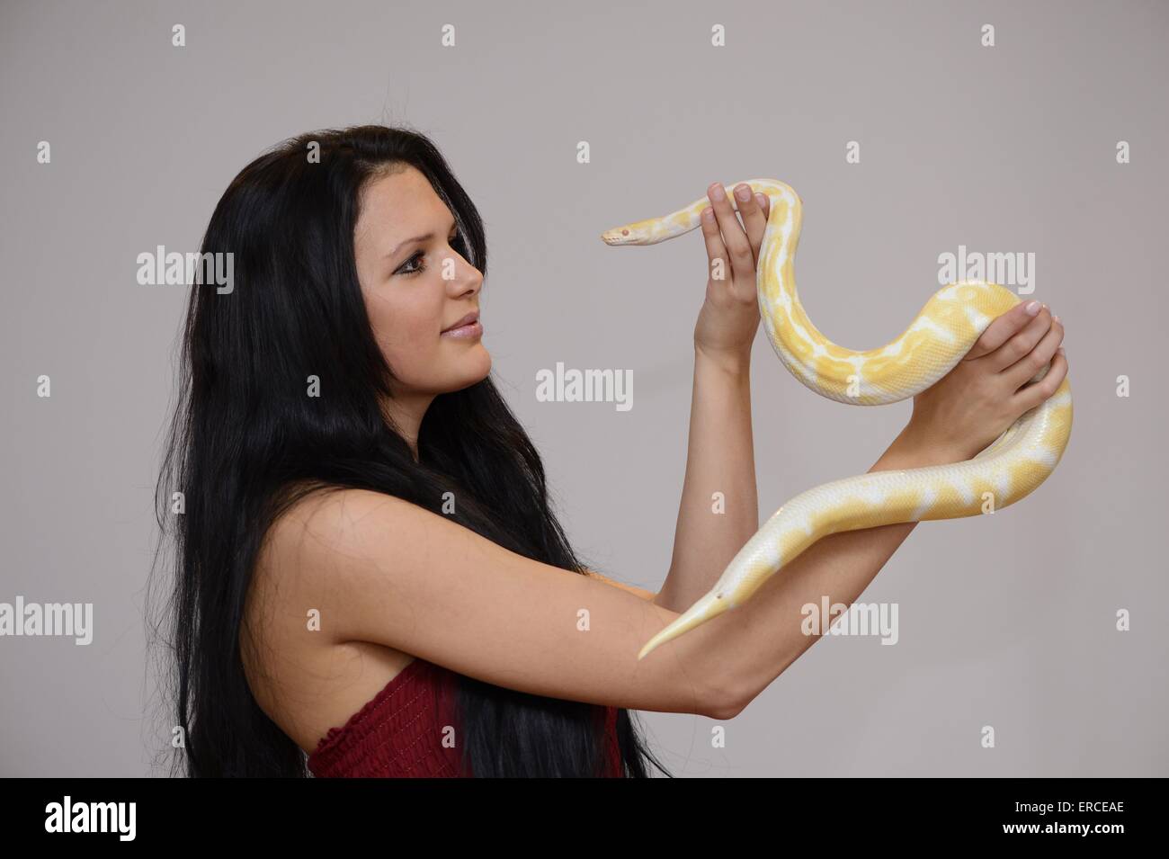 woman and Albino Burmese python Stock Photo - Alamy