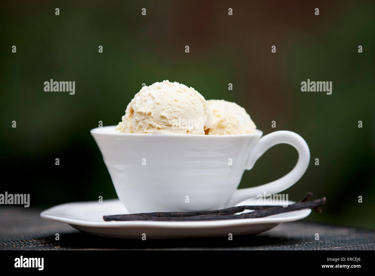 Vanilla ice cream in a cup and saucer Stock Photo Alamy