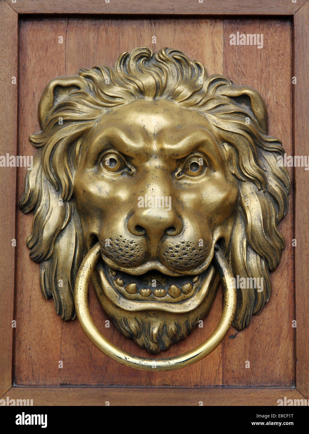 Tissting 3.7 X 5.5in Antique Bonze Lion Doo Knocke ... - EBay