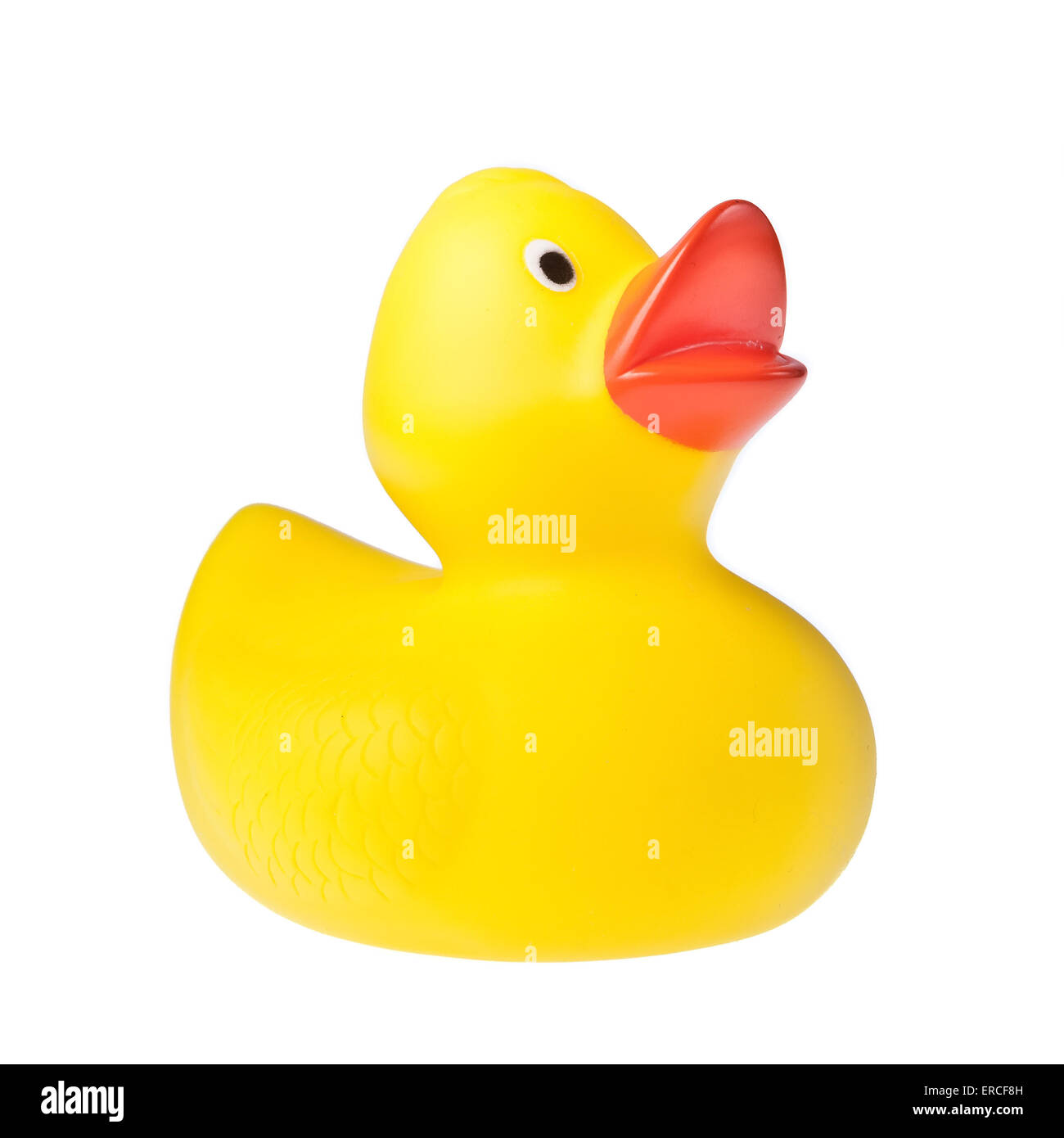 Rubber duck isolated on the white background Stock Photo