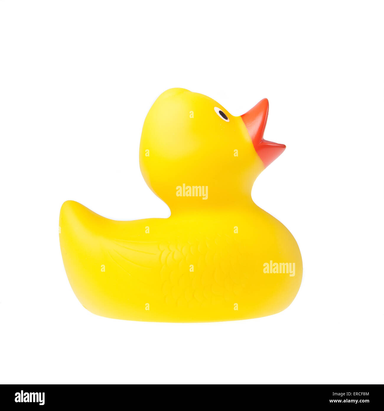 Rubber duck isolated on the white background Stock Photo - Alamy