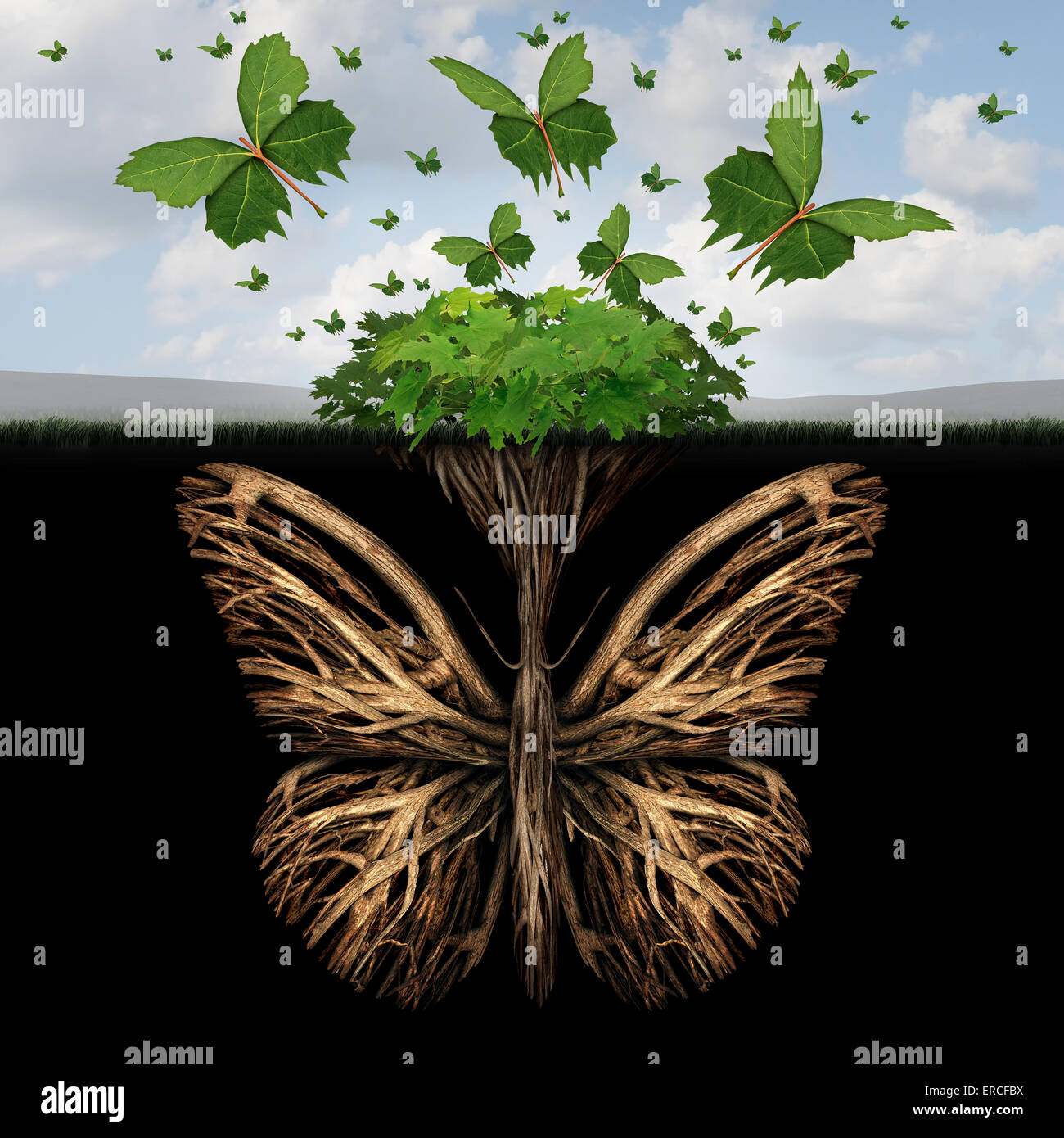 Roots and all High Resolution Stock Photography and Images Alamy