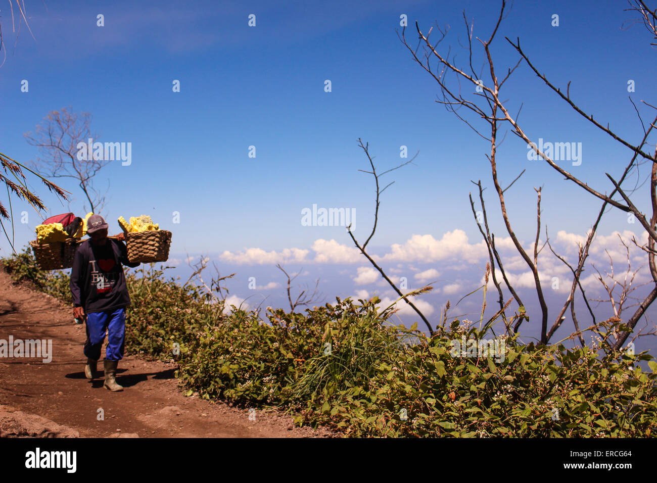 An old man carrying 10 kilos of Brimestone up from the Ijen Crater down to the foot of the mountain just to earning money Stock Photo