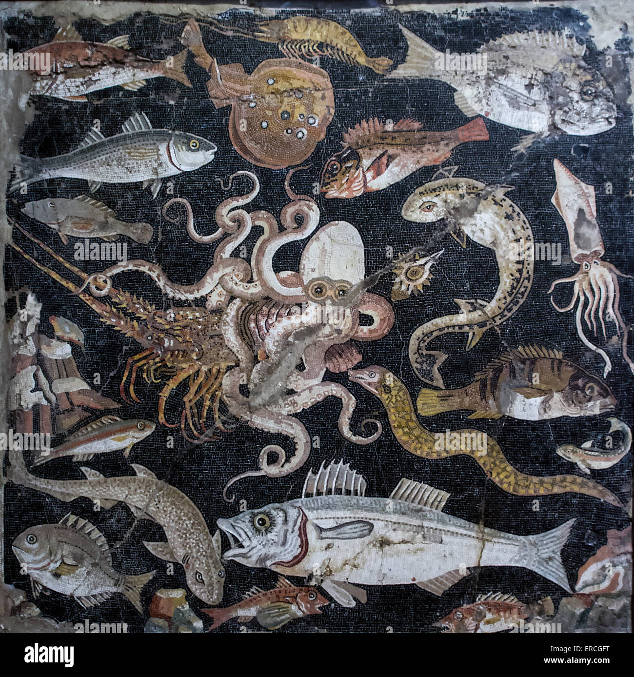 Mosaic of marine life, Pompeii, Italy. Stock Photo