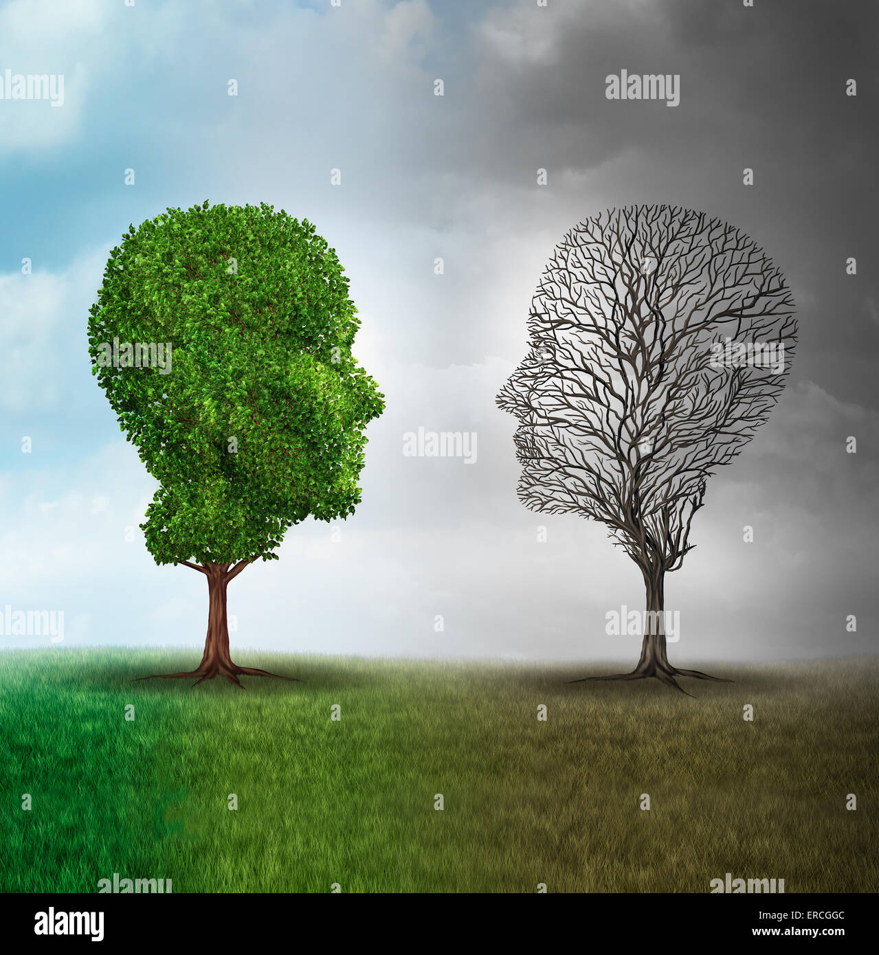 Human mood and emotion disorder concept as a tree shaped as two human faces with one half full of leaves and the opposite side empty branches as a medical metaphor for psychological contrast in feelings. Stock Photo