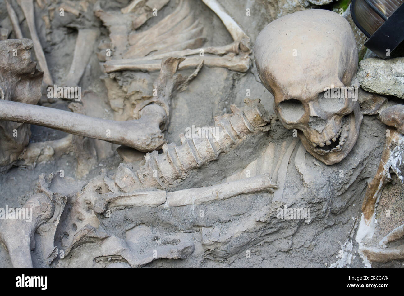 Victims of the first century AD eruption of Vesuvius near Herculaneum, Italy Stock Photo