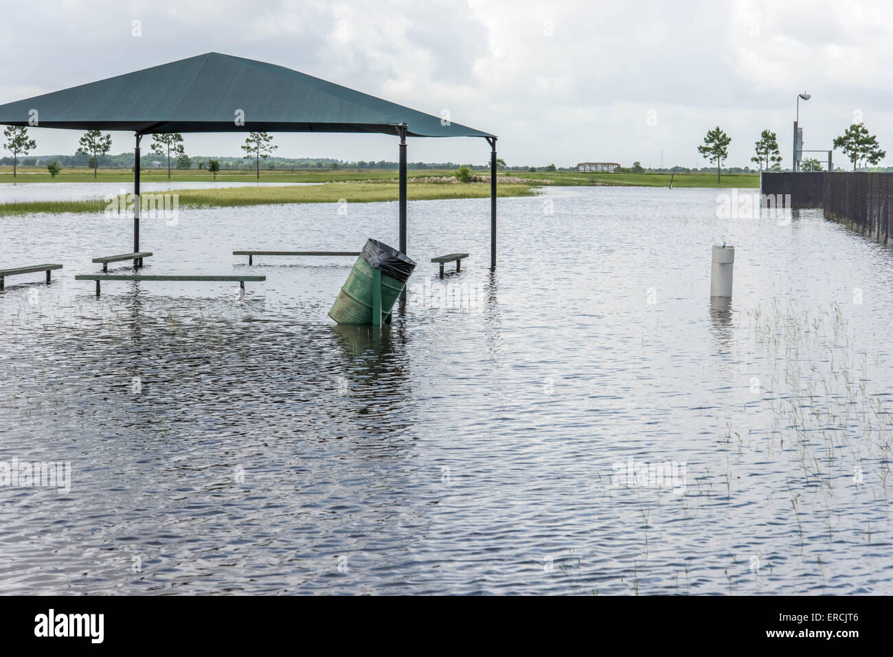 May 30, 2015 Beverly Kaufman Dog Park, Katy, TX Standing flood