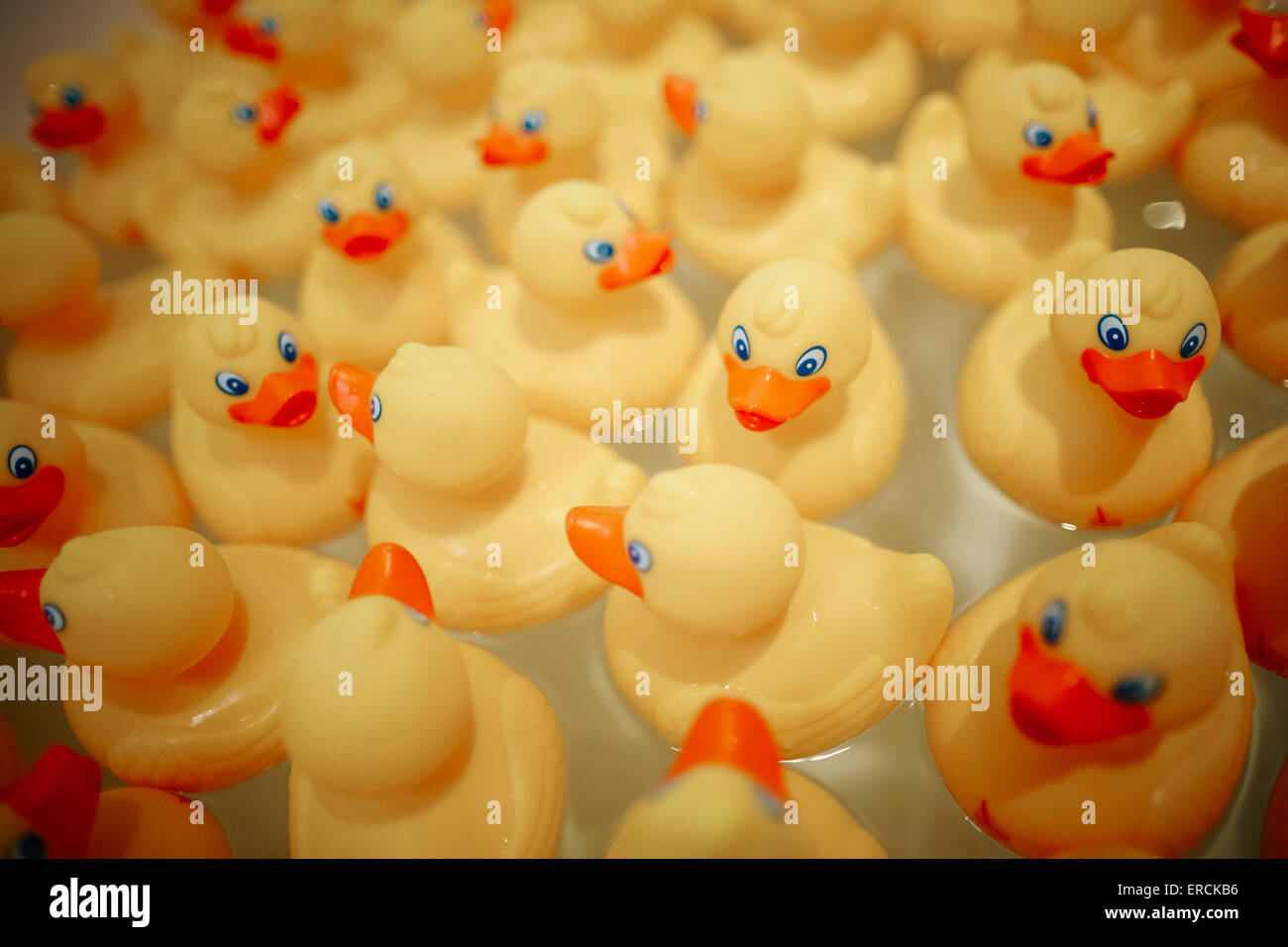 plastic bath ducks