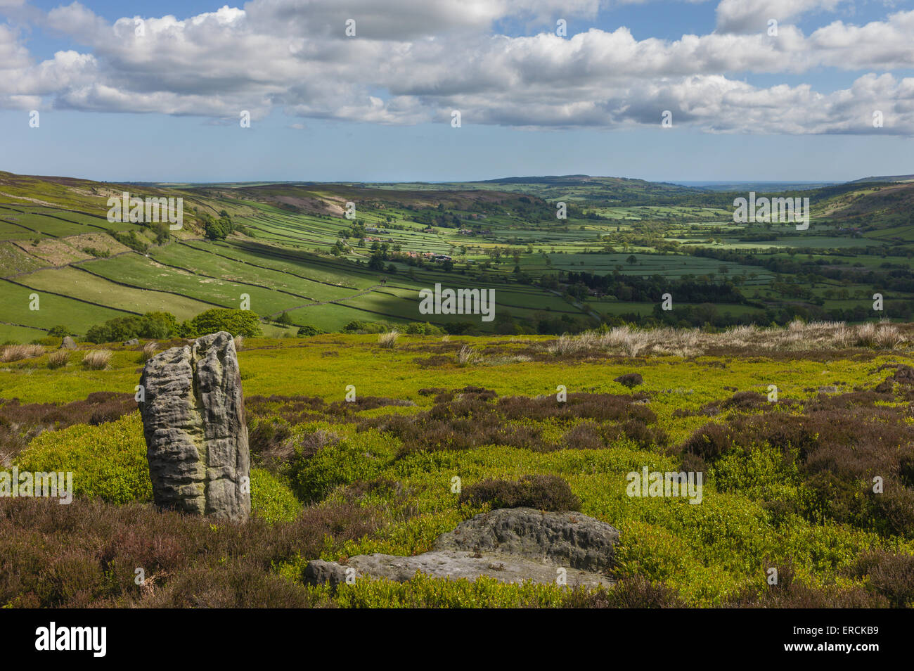 orth York Moors National Park showing Glaisdale dale with fields ...