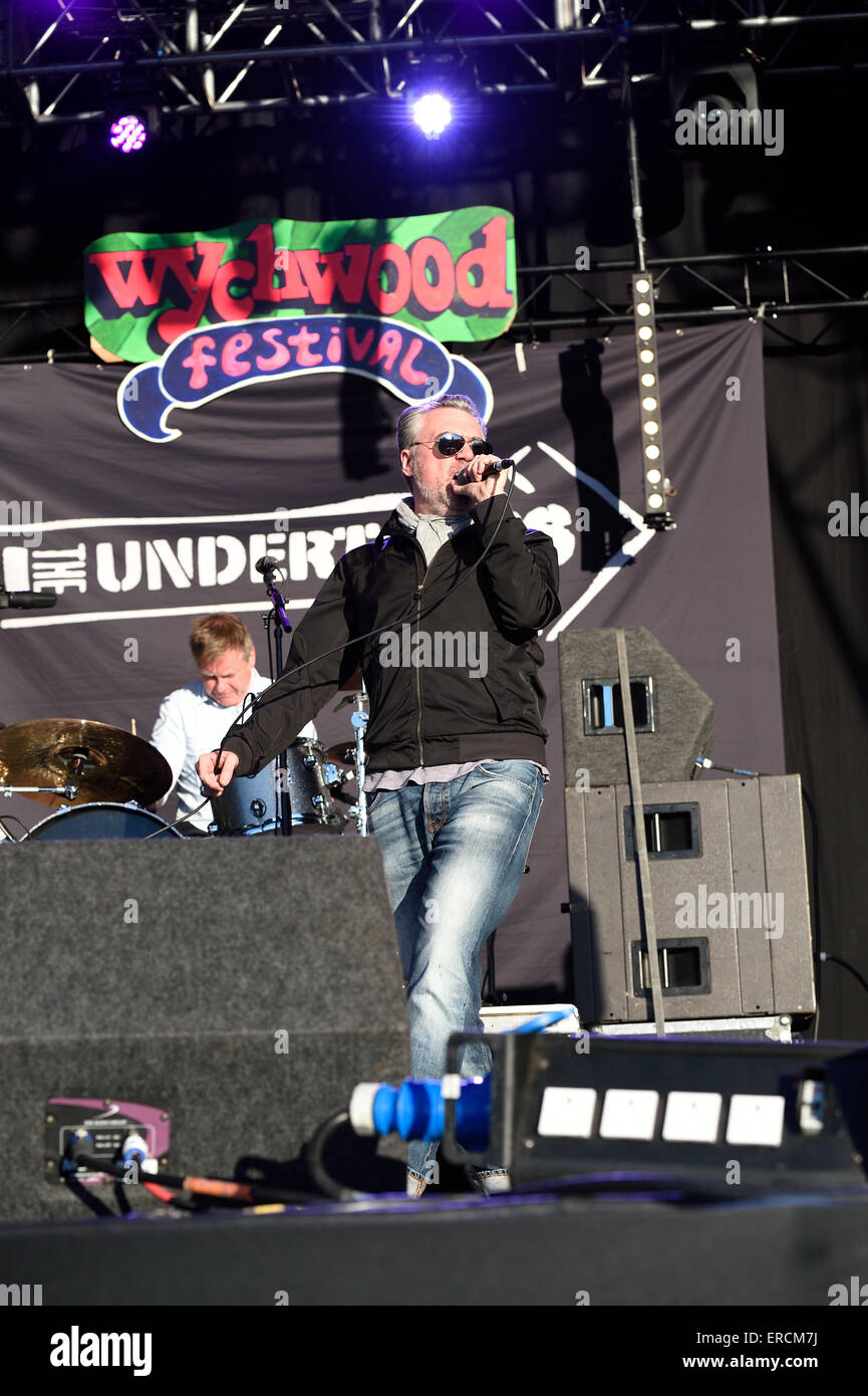 The Undertones at the Wychwood Music festival2015 in Cheltenham Gloucestershire England Stock Photo