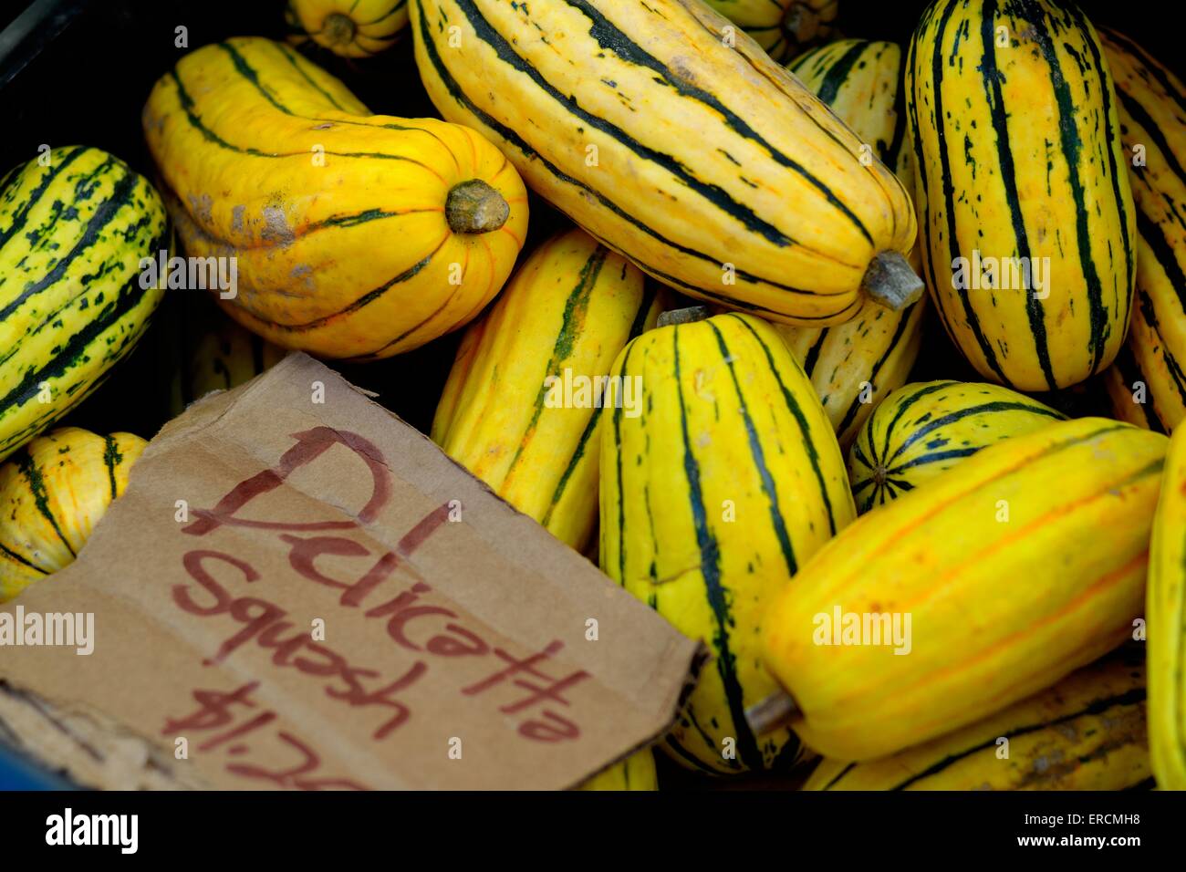 Delicata squash Stock Photo