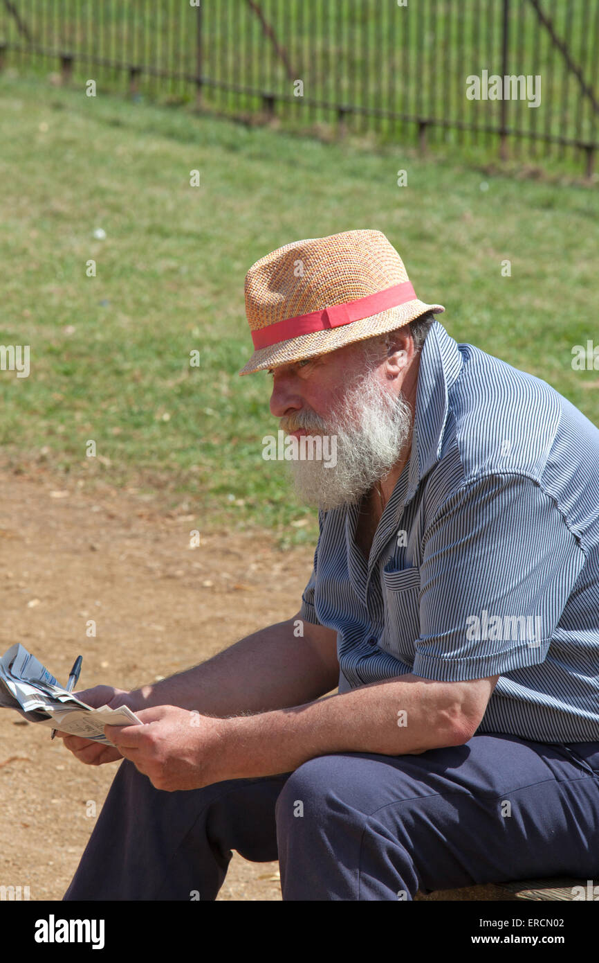 Middle aged man doing a crossword on a park bench, England, UK Stock Photo