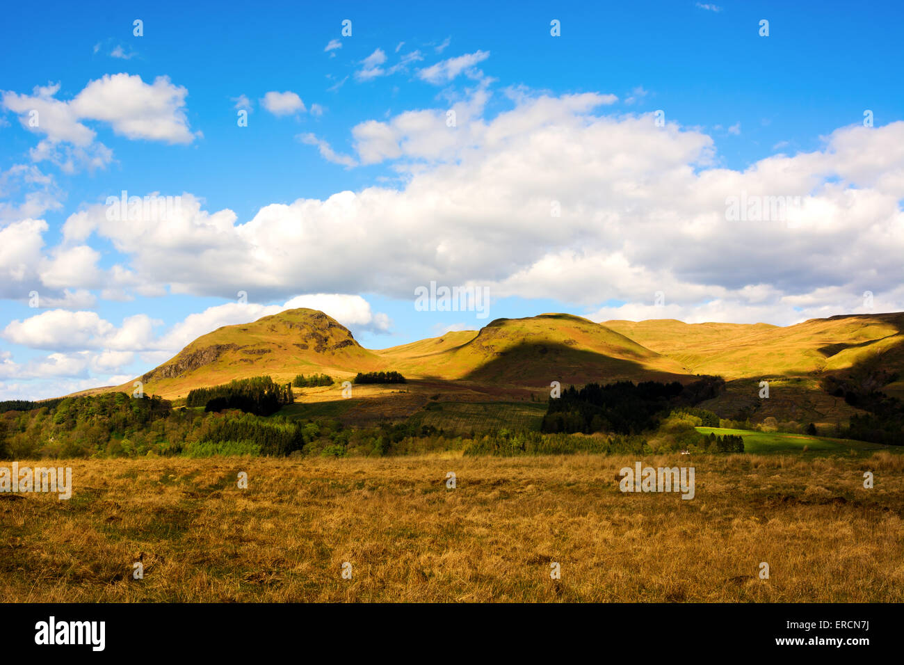 Beautiful rural landscape in Scottish Highlands with field patches, forests, and meadows. Beautiful blue sky with clouds Stock Photo