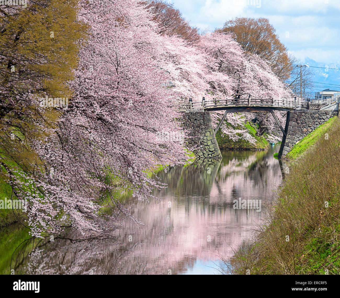 Kajo park hi-res stock photography and images - Alamy