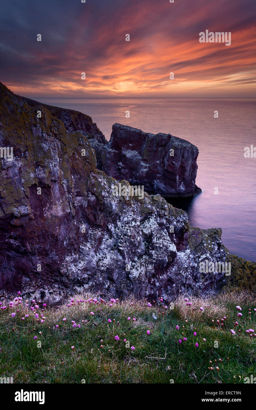 Sunset behind the steep North Sea cliffs at St Abbs Head Nature Reserve