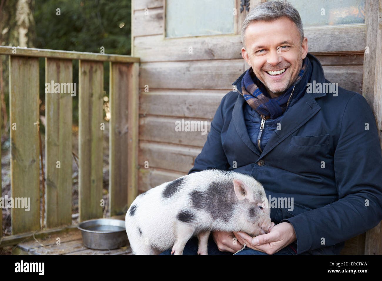Mature Man Feeding Pet Micro Pig Stock Photo