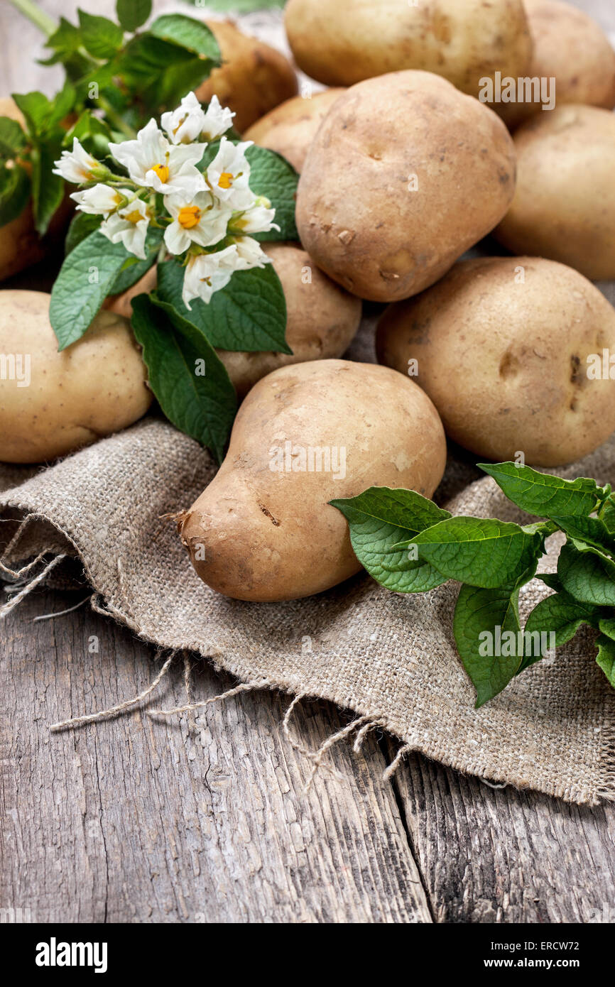 Potato leaves hires stock photography and images Alamy