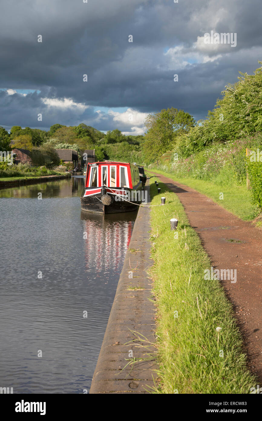 Narrowboats moored on the Worcester & Birmingham Canal at Tardebigge Wharf, Worcestershire, England, UK Stock Photo
