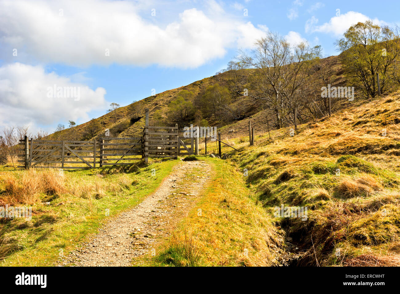 Landscape view over sheep gate and road in farmland. West Highland Way in Scotland Stock Photo