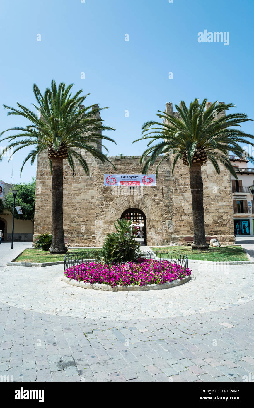 Picturesque street in alcudia hi-res stock photography and images - Alamy
