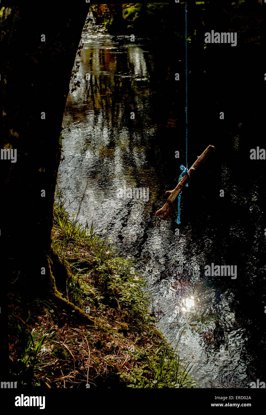Rope swing over tranquil river scene sunset river Fowey Cornwall Stock Photo