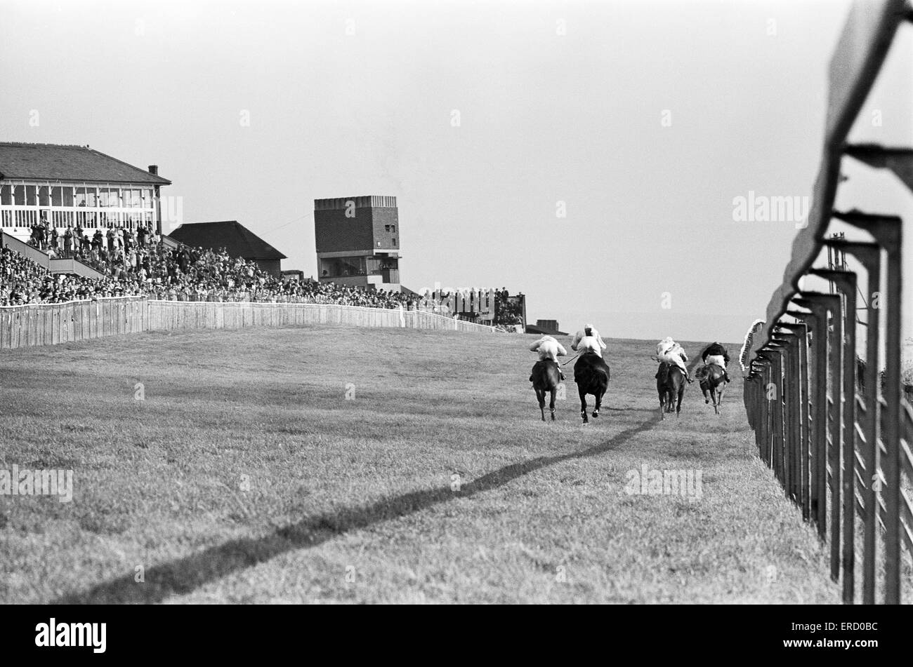 Scenes at Lewes racecourse on during the last meeting to be held there.  14th September 1964. Stock Photo