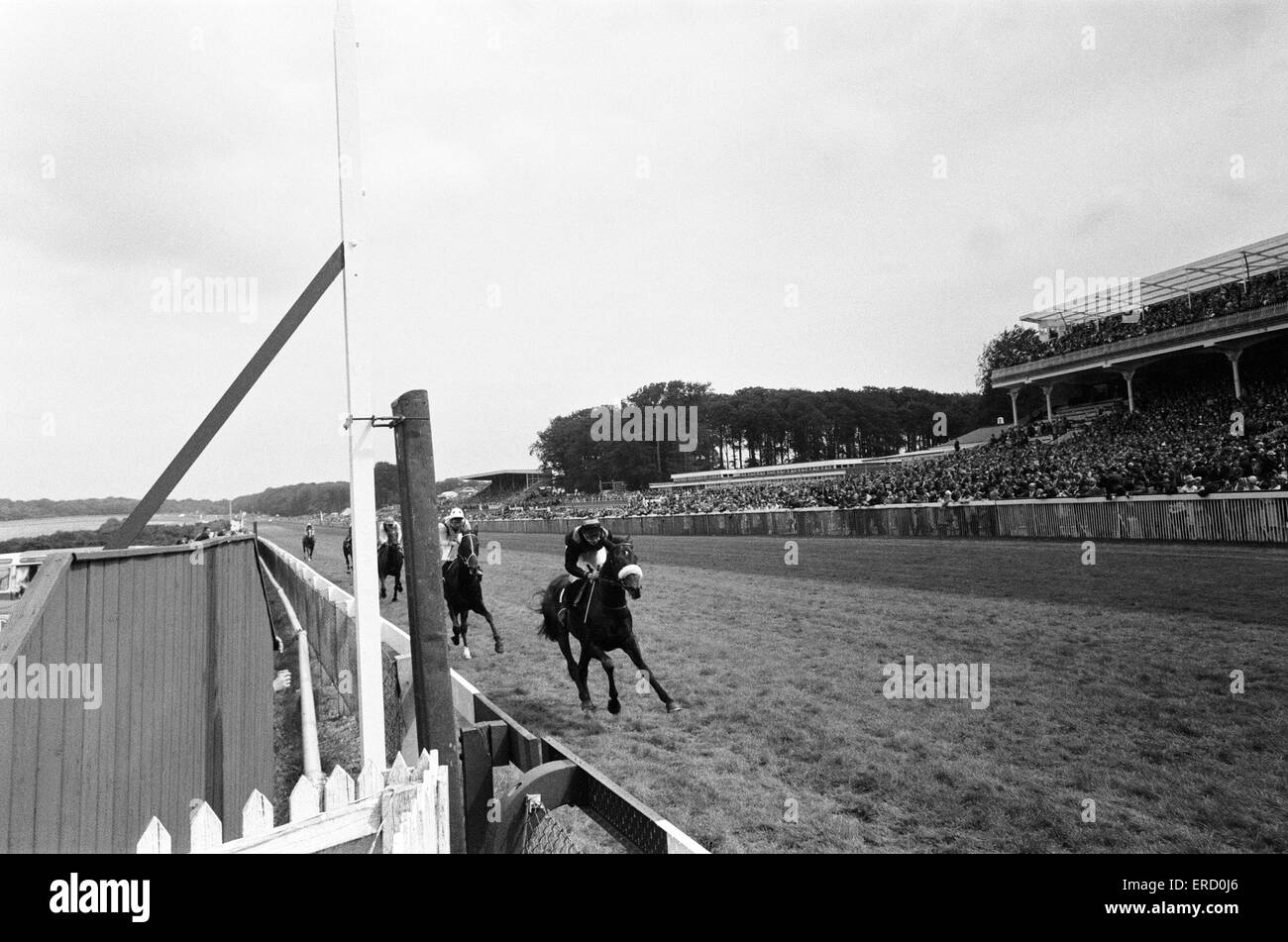 Racing Scenes during Glorious Goodwood. 2nd August 1968. Stock Photo