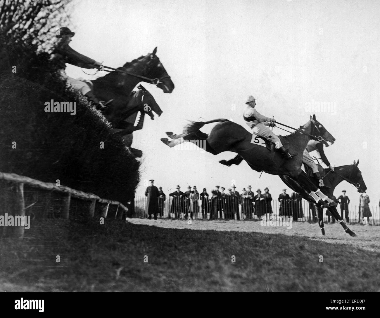 Horseracing 1920s hi-res stock photography and images - Alamy