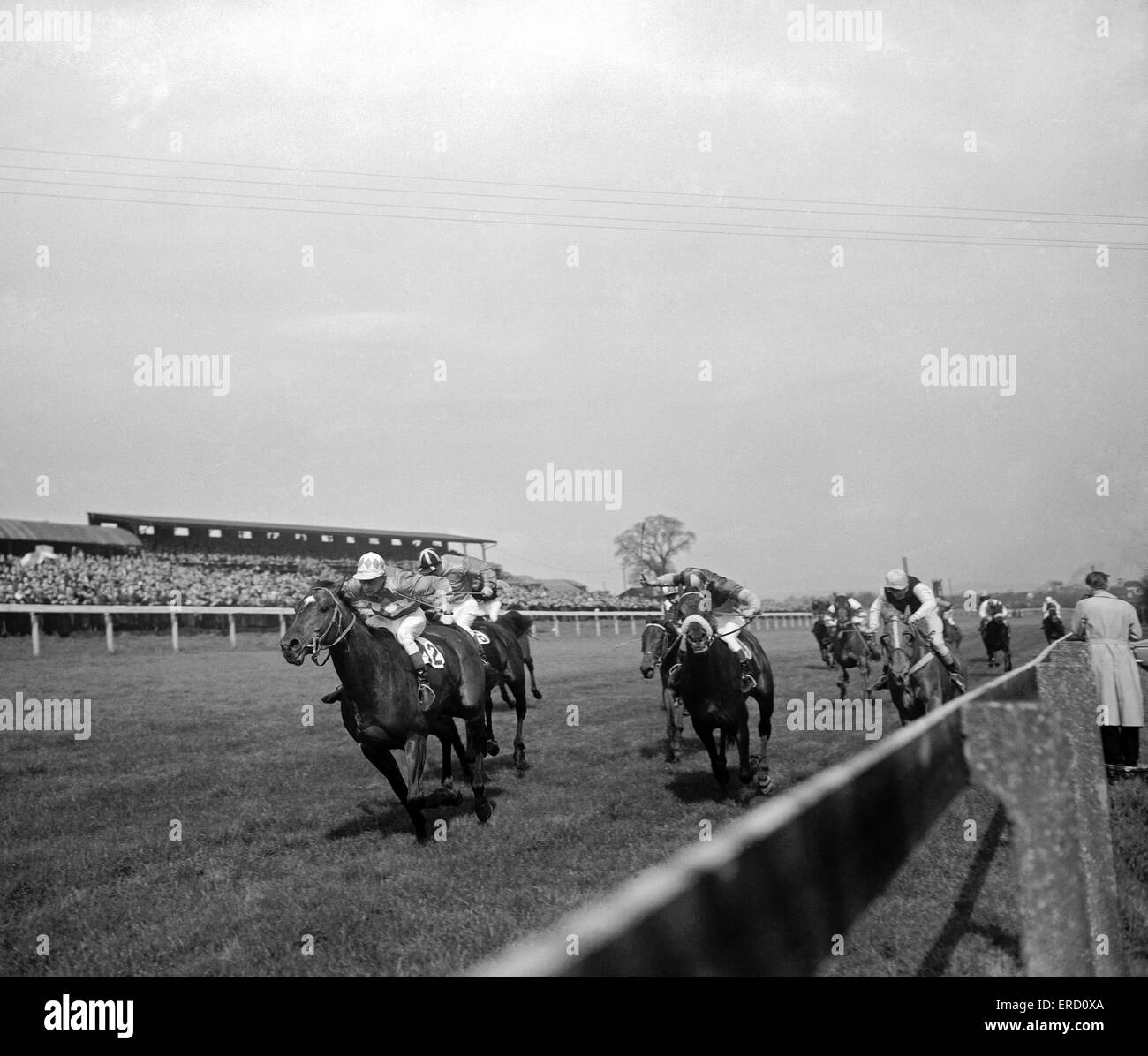 1960-Horse Racing / Cherry Hill / USA / , Stock Video