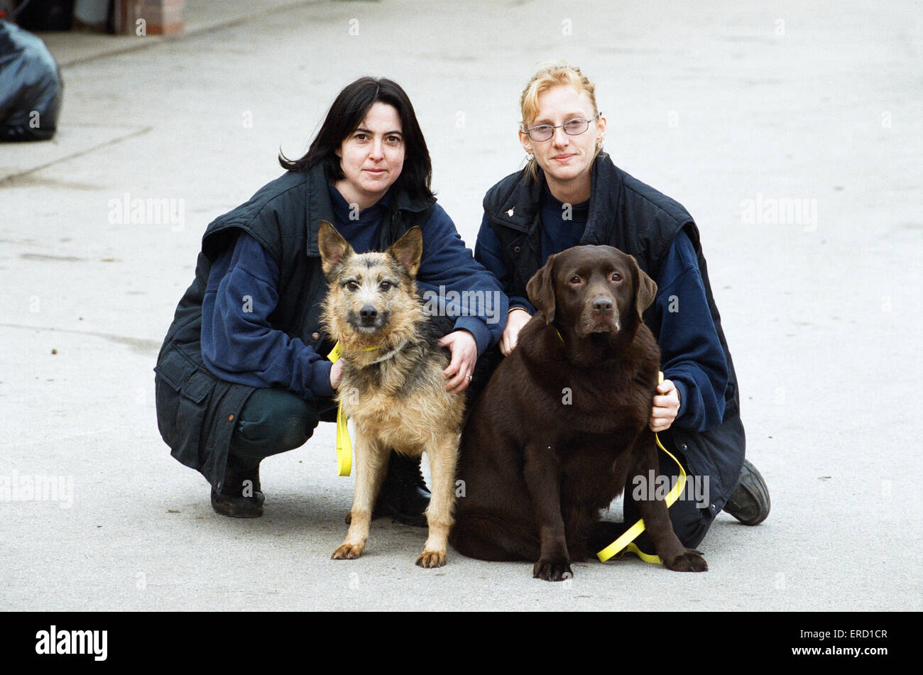 Sue Stonebridge (left) with Scratch an Alsatian crossbreed and Jane Rose (right) with Brownie a Labrador. Both dogs from the Honiley Rescue Centre. 13th January 2001 Stock Photo