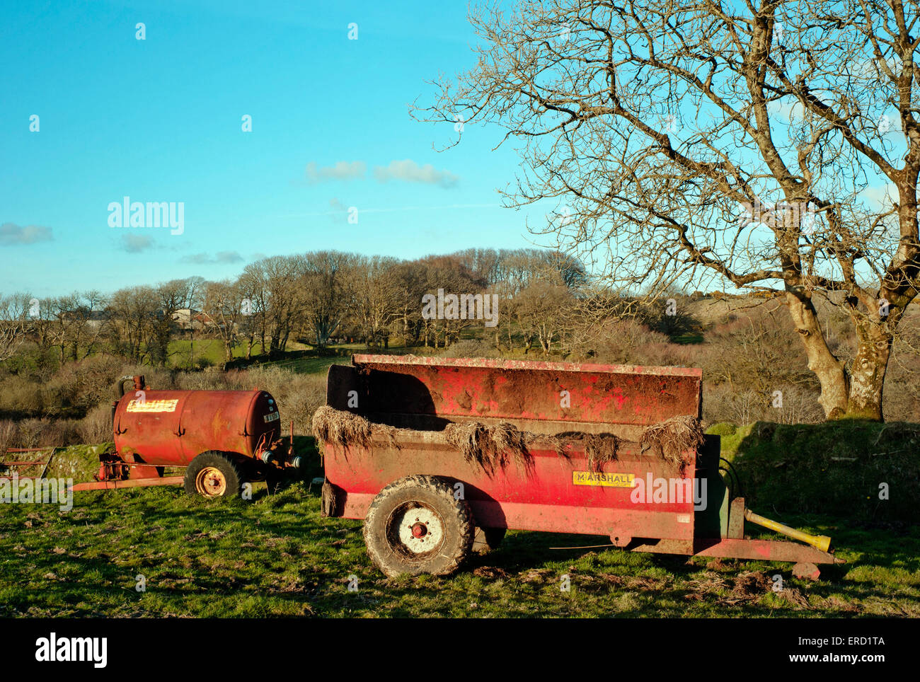 tractor, manure, muck spreader, silage, farming, farm, cow, dung, odor