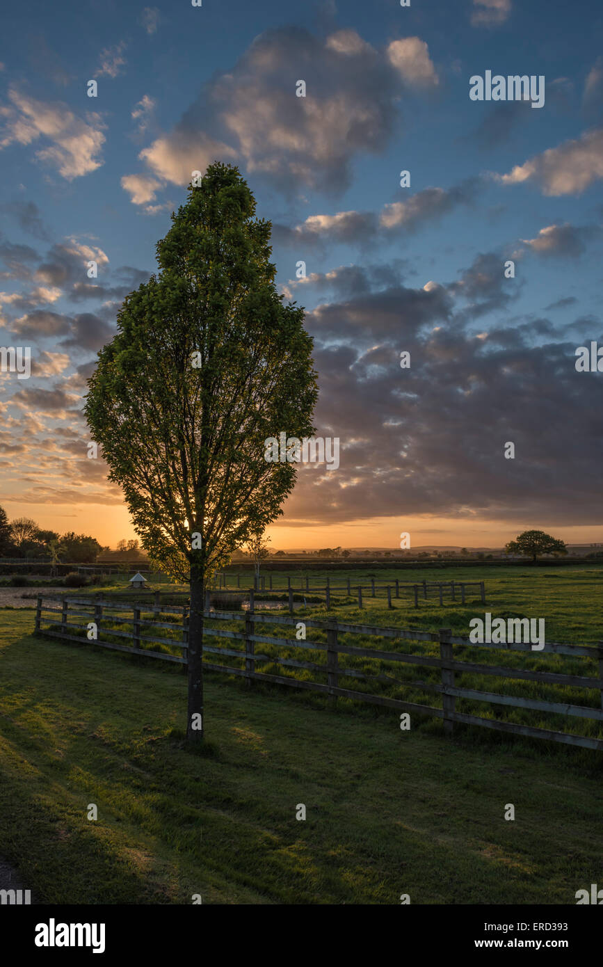 Little barugh hi-res stock photography and images - Alamy