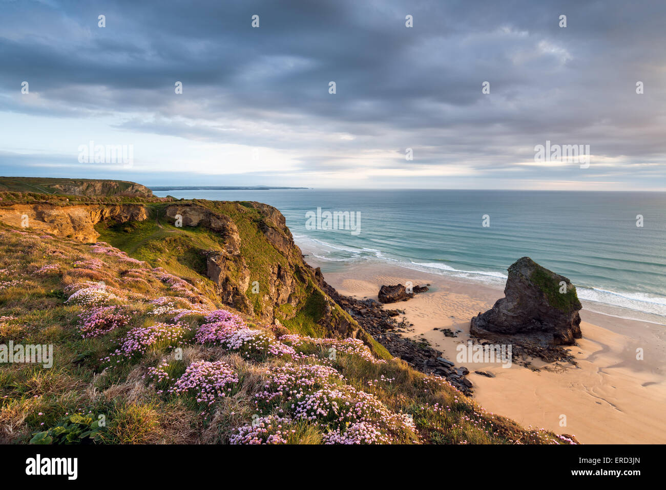 Summer at Bedruthan Steps on the north Cornwall coast Stock Photo