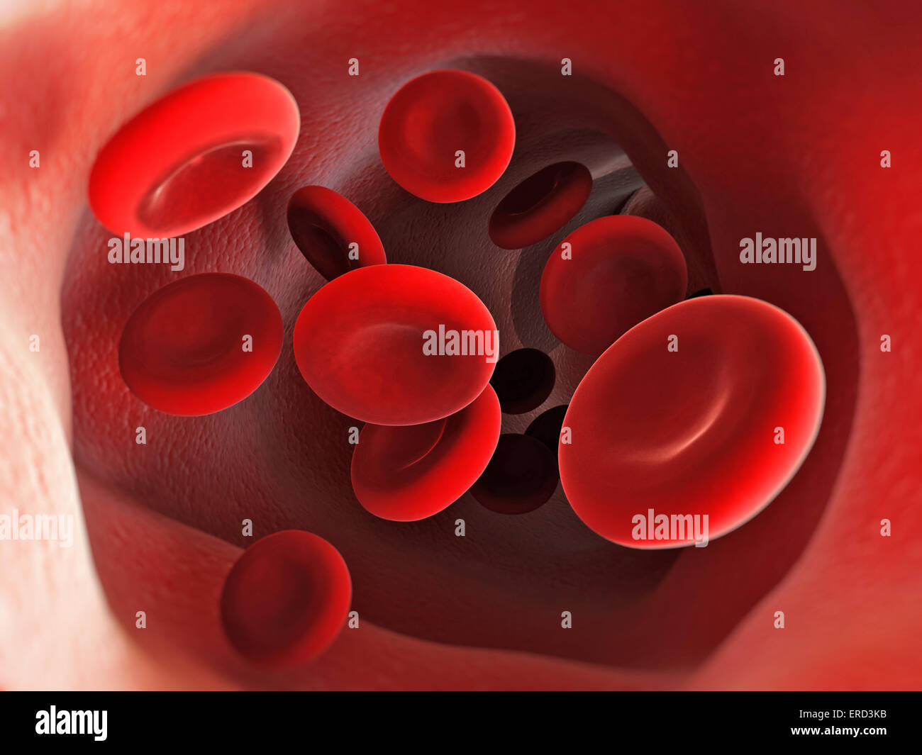 Blood cells inside human vein. Stock Photo