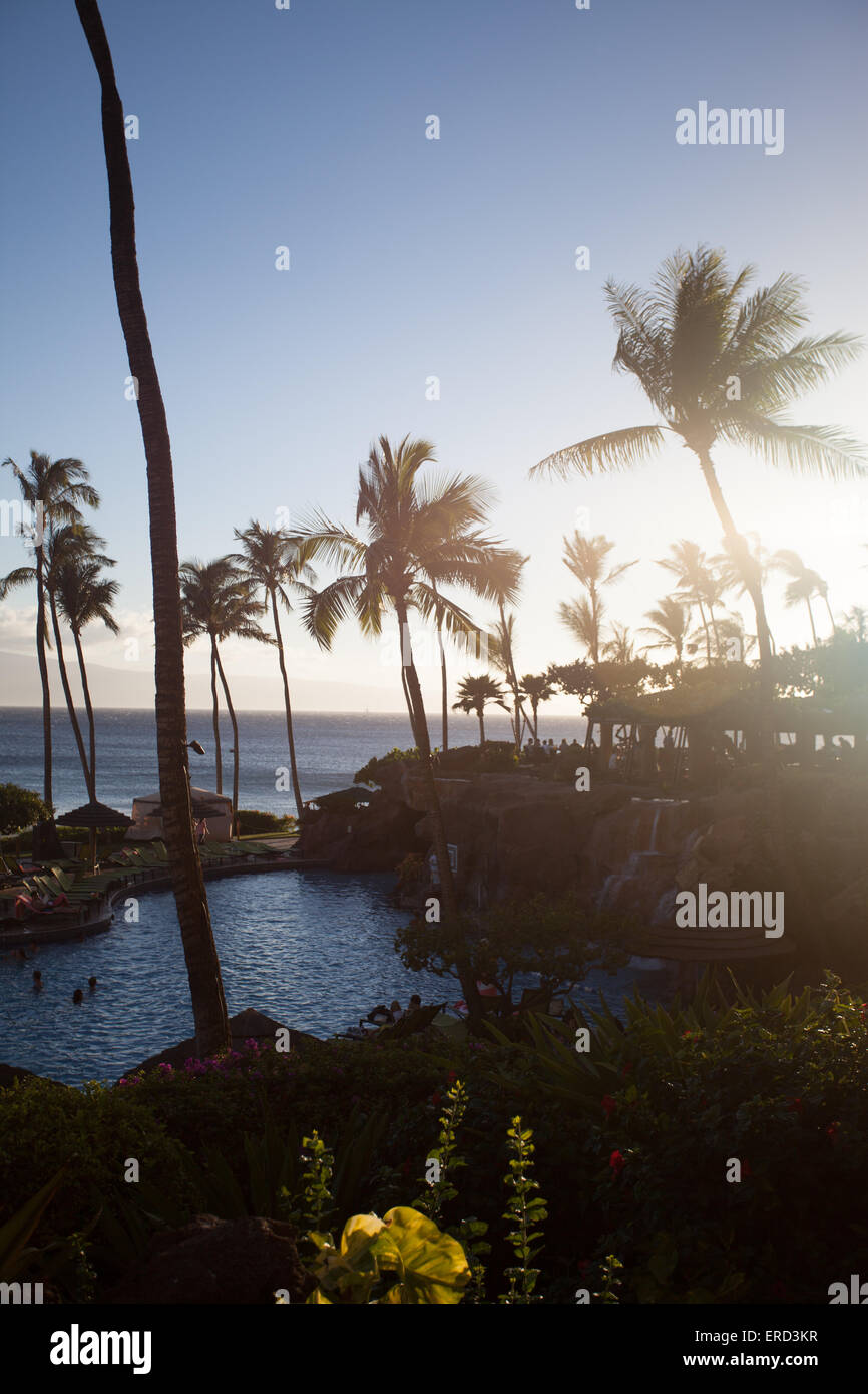Hawaii sunset hula palm tree hi-res stock photography and images - Alamy