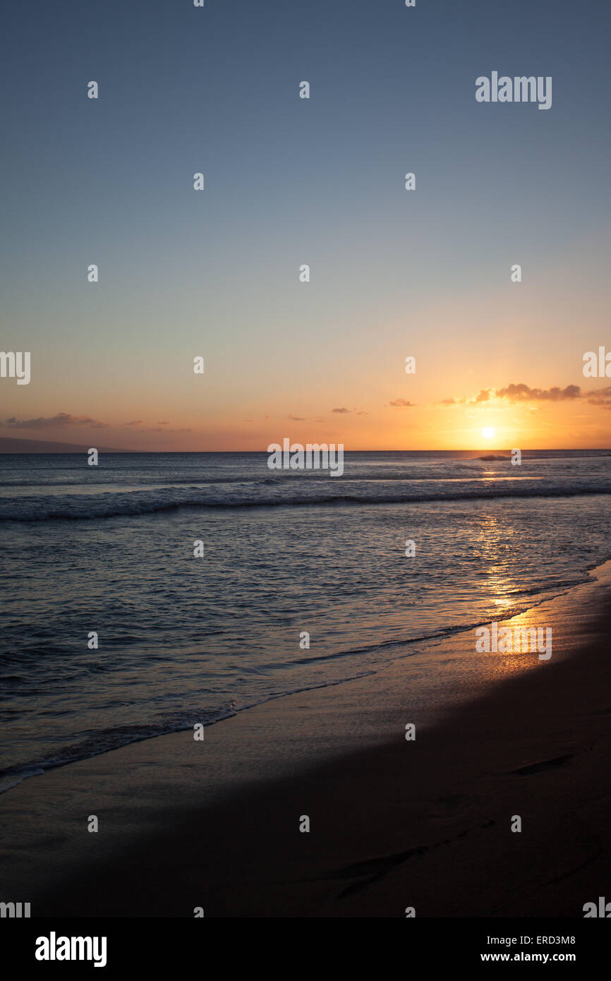 Hawaii sunset hula palm tree hi-res stock photography and images - Alamy