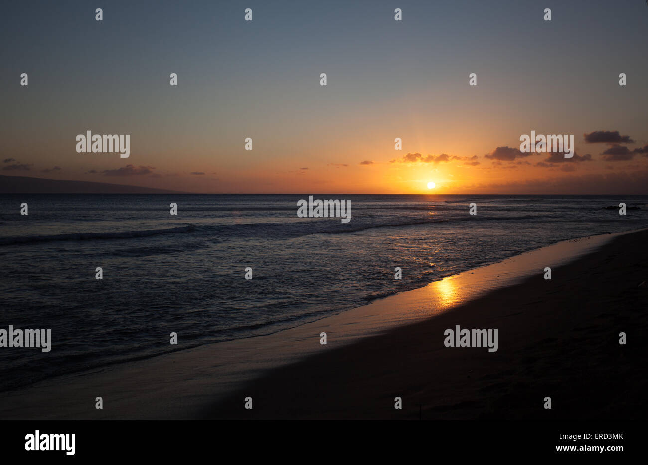 Hawaii sunset hula palm tree hi-res stock photography and images - Alamy