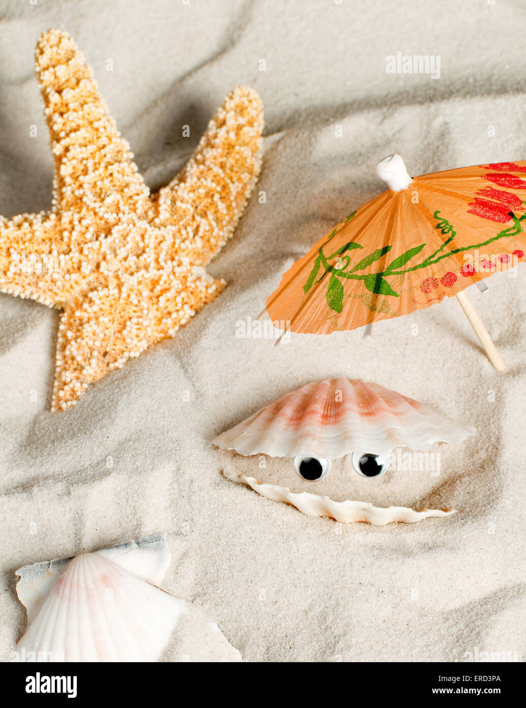 Open seashell on a beach with funny looking eyes Stock Photo