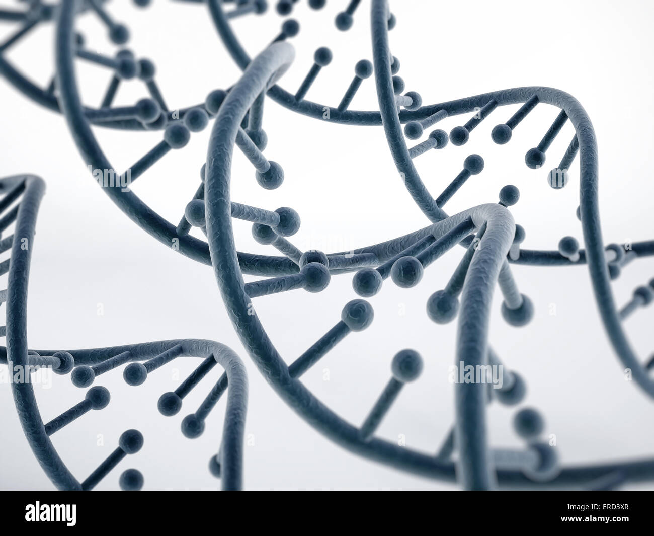 DNA strands isolated on white. Stock Photo