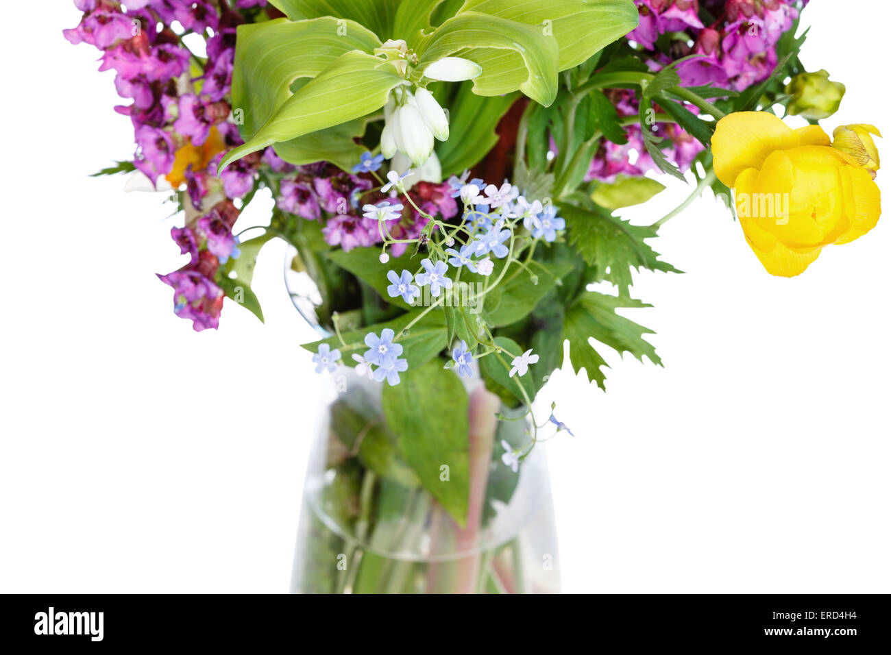 bunch of wild flowers in glass vase on white background Stock Photo