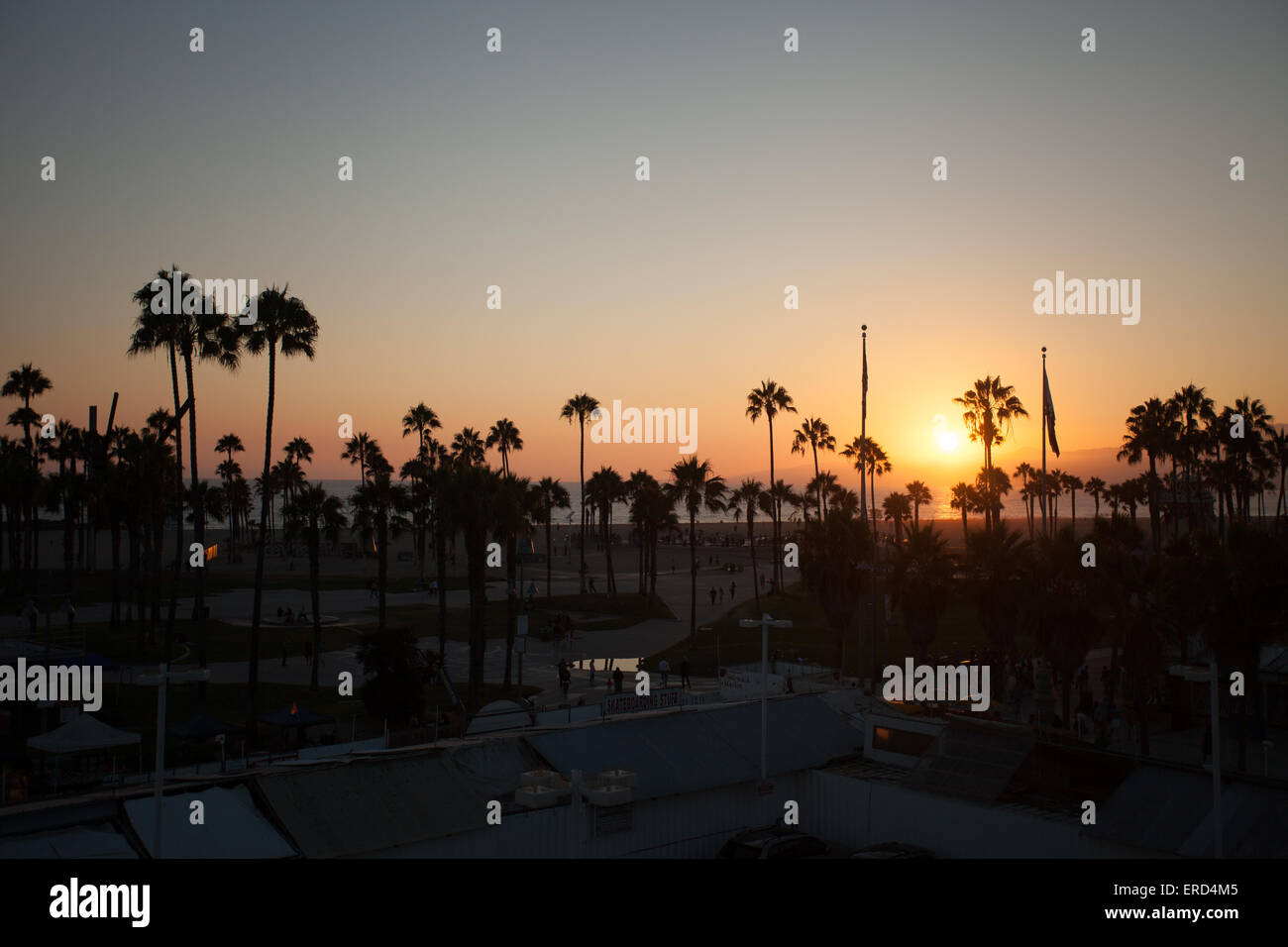 Muscle beach venice beach hi-res stock photography and images - Alamy