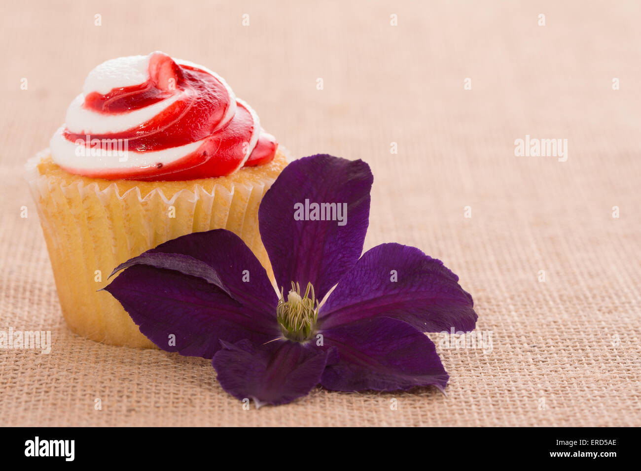 Cupcake with a Clematis flower on burlap background - a simple romantic gift Stock Photo