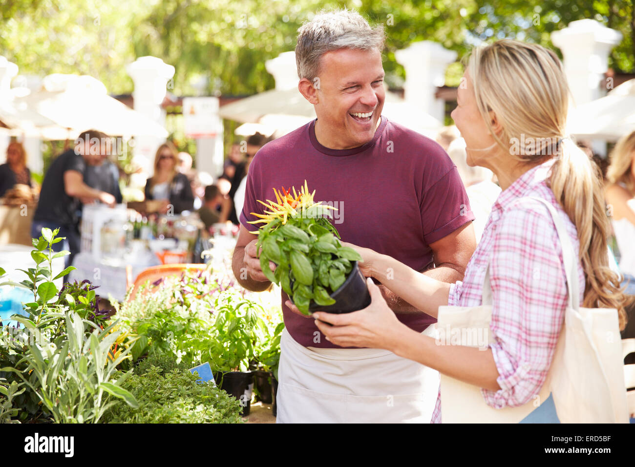 Man Selling Herbs And Plants At Farmers Food Market Stock Photo Alamy